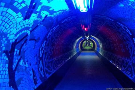 Discover the Nearest Magic Tunnel: A Gateway to Adventure